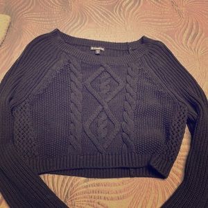 Express crop sweater